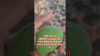 यूरिशियोल (Urushiol)