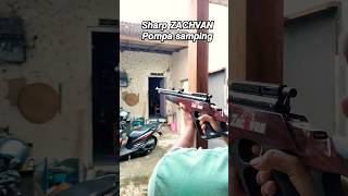 Sharp Zachvan Pomping