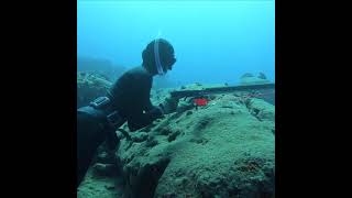 Girl Breathhold Spearfishing In Hawaii