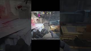 #Cs2 #shortsclip #shorts #train (CS2|КС2) | THETIMYR / TEAMOREGG