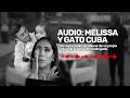 Audio Melissa Paredes Llamó Al Gato Cuba Para Decirle Que él Abusó De Su Propia Hija 