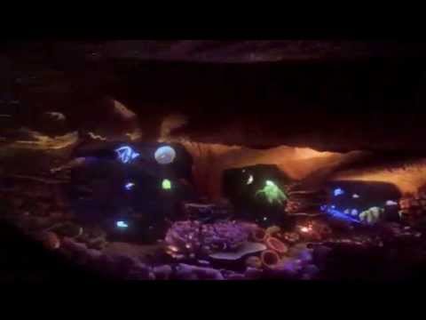 Video Finding Nemo Submarine Voyage - On-Ride - Disneyland - youtube
