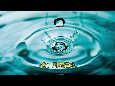 我主耶穌是生命源（國語）輕歌 318