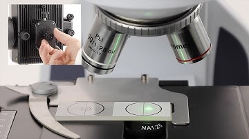 Euromex fluorescence alignment EN