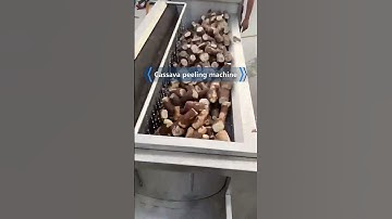 Goodway cassava peeling machine
