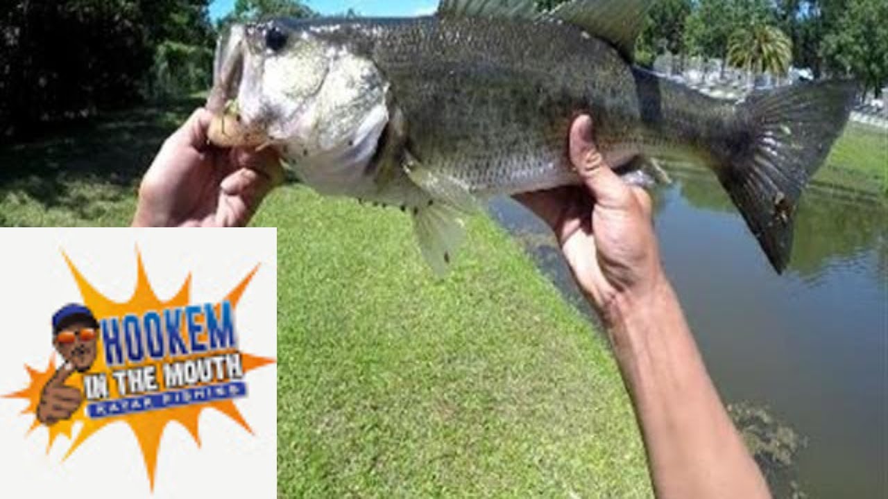 Ya boy ! Pond fishing  Canal fishing. Florida BASS fishing.Largemouth Bass! YOU BE THE JUDGE!