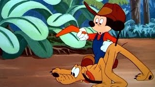 Mickey Down Under | A Mickey and Pluto Cartoon | Have a Laugh!