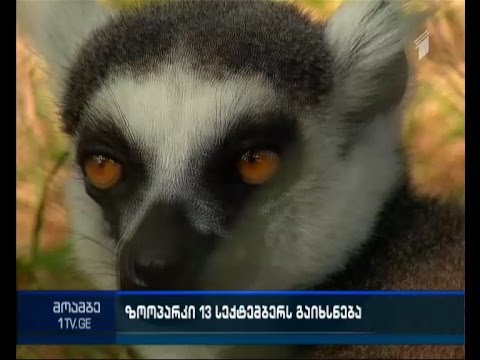 როგორი იქნება რეაბილიტირებული ზოოპარკი