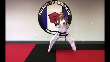 Air Curriculum - ITF Taekwondo - Twin Knife Hand Inner Forearm Block