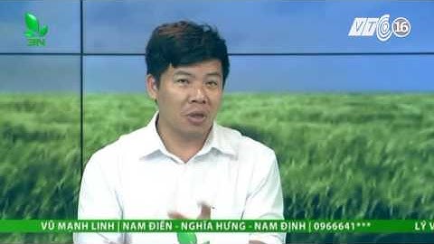 Cách diệt cá rô phi con trong ao nuôi cá thế nào