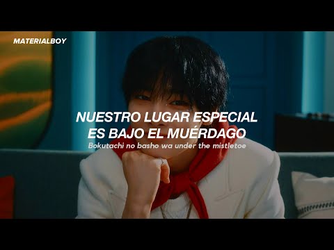Stray Kids Christmas Love Sub Español