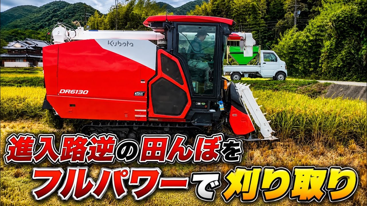 Kubota DR6130クボタの6条130馬力コンバインで刈り取りSTAR