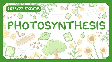 GCSE Biology - Photosynthesis (2026/27 exams)