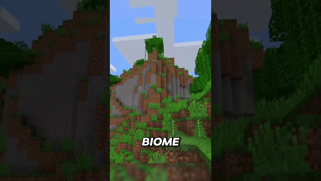 Minecraft Rarest Biome
