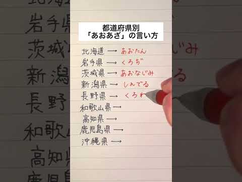 【都道府県別】「あおあざ」の言い方一覧 #手書き #ボールペン #方言のサムネイル