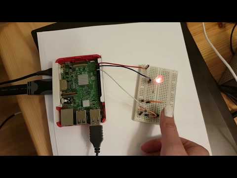 The Raspberry Pi