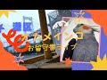【LIVE】オカメインコとレインボーブリッジ #港区 #ライブカメラ #首都高