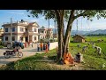 नेपाली प्रेरणादायक कथा, एक मुठी बिउ motivational suvichar story moral सामाजिक कथा