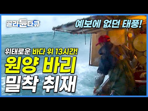 동중국해 <strong>원양</strong> 바리 10톤 명진호 선원들의 파도 같은 인생 드라마!│선원들은 무사히 만선할 수 있을까?│<strong>원양</strong> 바리 밀착 취재│옥돔잡이│극한직업│#골라듄다큐