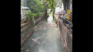 Bangkok Khlong - Bangkok Canal needs dredging & cleaning. Clean Khlongs stop Bangkok floods #shorts