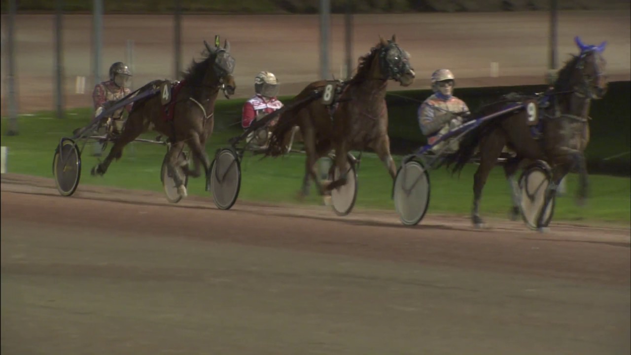 Victoria Park Wolvega 13-1-2017 KOERS 7 TORTUGA BI - D.P. TESSELAAR