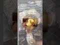 school property internationalworldwide internet muddirt littlewater pennycoin size Earthlifeelement