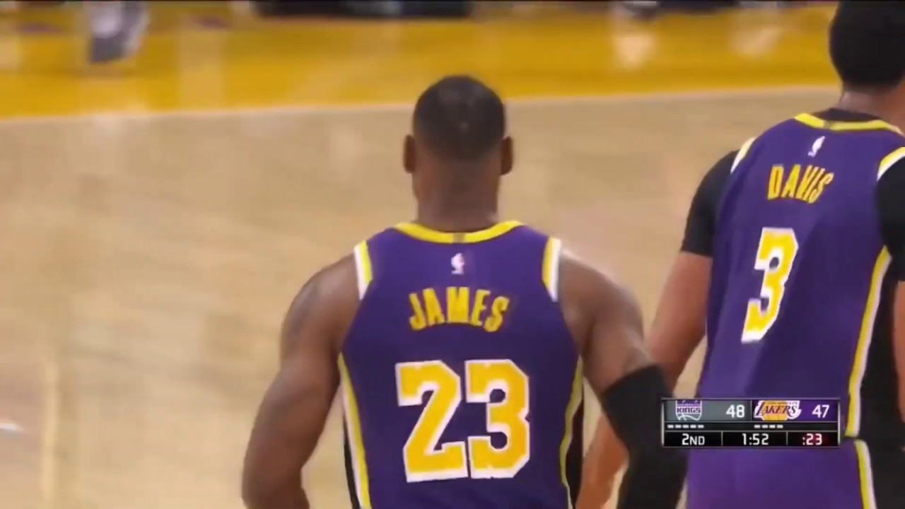 LeBron James on Bjelica Fan Perspectives