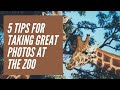 5 Tips For Taking Great Photos At The Zoo with Laurie Rubin