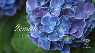 Something really GOOD is happening here, GEMINI April 2019