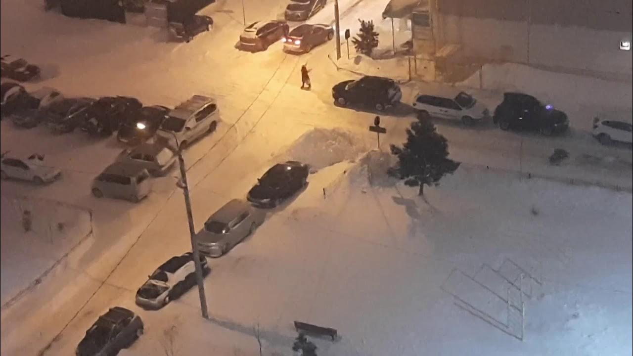 морозы последствия