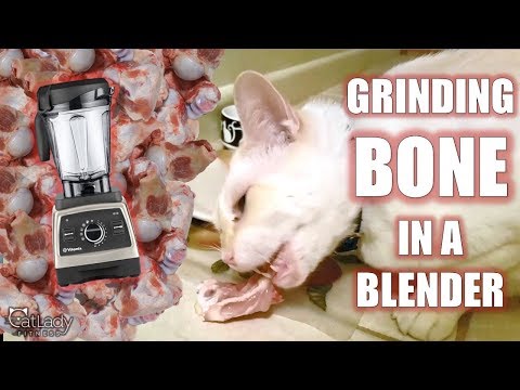 Como moer OSSOS em casa (para caseiros comida de gato-prima!) - Cat Lady aptidão