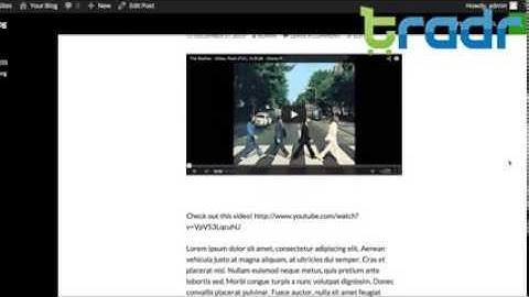 Free Website Guide - How to Use oEmbed for Your Free Wordpress Website  - Inside Tradr
