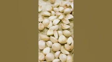 This machine can peel hundreds of garlic cloves a minute. #garlic #food #farming