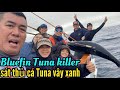Bluefin Tuna Killer “Sát thủ cá Tuna vậy xanh”một trải nghiệm đáng nhớ