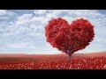 Short English songs ( 60 seconds) { slow tempo} | with lyrics「 someone you loved」