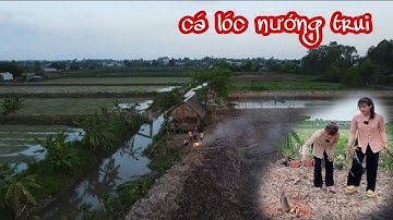 Cá Lóc Nướng Trui Tại Đồng Món Ngon Miền Tây/237