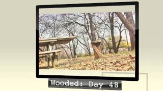 February - Photography Project365