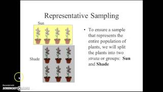 3.1 Collecting and Organizing Data PPT Slides