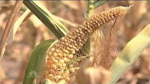 Drought Blankets More Than Half The US