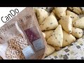 Jam Chip Scone Recipe【100均】つぶジャム スコーン作り方【キャンドゥ】