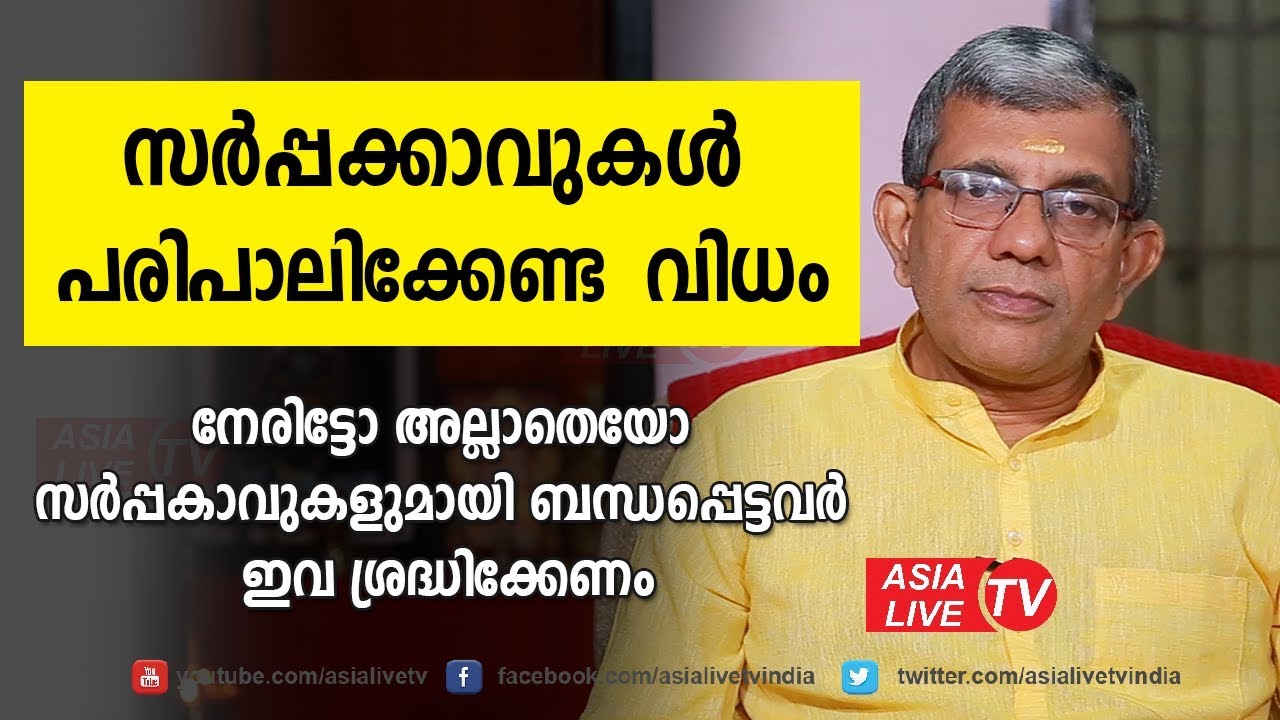 സർപ്പകാവുകളുമായി ബന്ധപ്പെട്ടവർ ഇവ ശ്രദ്ധിക്കണം  | 9847531232 | Sarppakavu | Sarppadosham