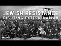 The Jews Who REFUSED To Go Quietly Jewish Resistance In World War 2 Explained