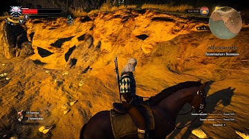 The Witcher 3 Texture bug