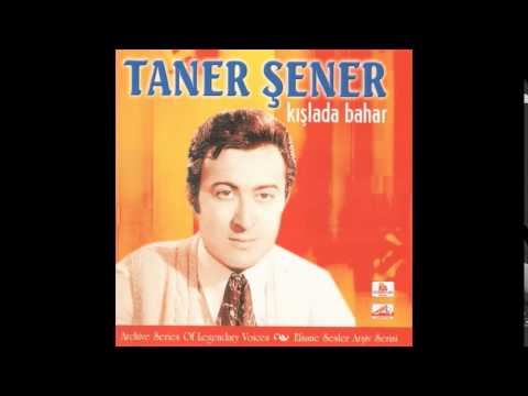 Taner Şener - Bir Dünya Yarattım Yalnız İkimiz İçin (1966)