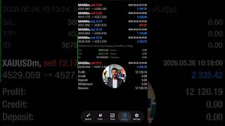 Why Discipline Matters in Trading | AI Trading Bot MT4