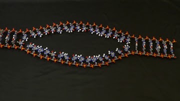 Dynamic DNA Replication