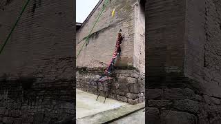 power of strength dog style #dog #trending #shorts #viral #youtubeshorts