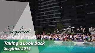 Taking a Look Back | Siegfried 2016