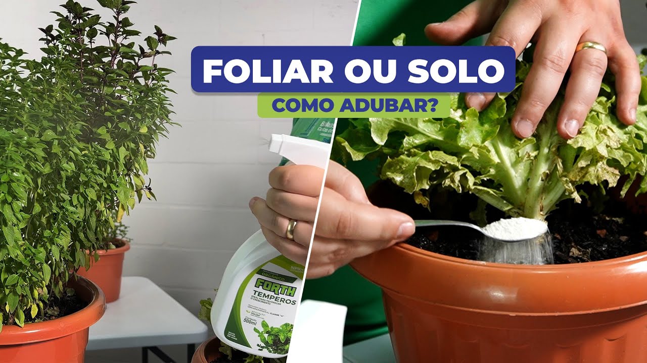 Diferenças e Modo de Uso: Fertilizante Foliar x Fertilizante via Solo