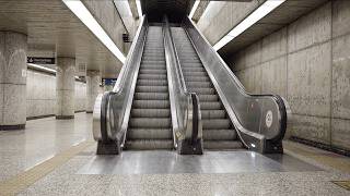 Modern Metro Platform Ambience | Escalator Infinite